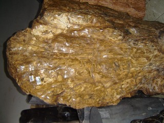DSC02321.JPG