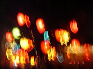 DSC00408.JPG