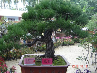 DSC00959.JPG