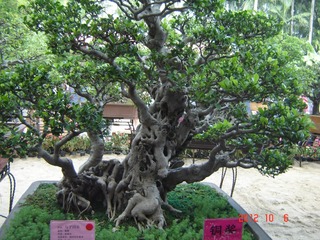 DSC00961.JPG