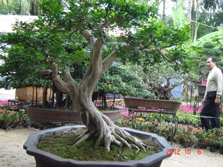 DSC00965.JPG