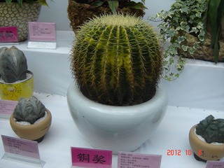 DSC00986.JPG
