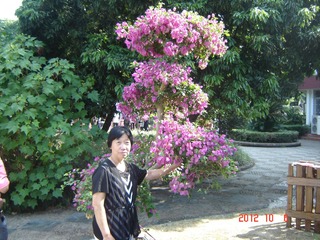 DSC01005.JPG