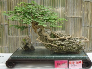 DSC01039.JPG