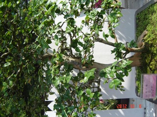 DSC00999.JPG
