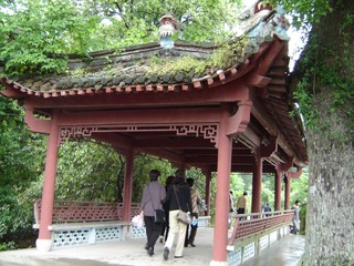DSC01382.JPG