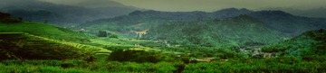 DSC070581.jpg