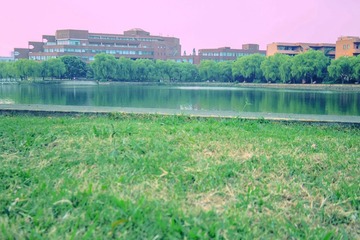 IMGP1015.jpg