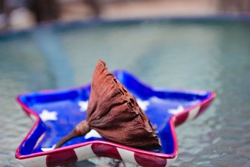 _DSC0732.jpg