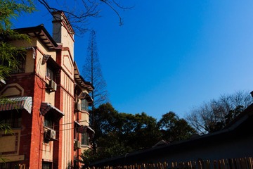_DSC0742.jpg
