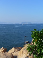D3D99800-0725-4941-AC36-E1B3CA5342D5/L0/001