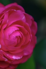 659F2E64-4A84-45AF-B400-E30EC539966B/L0/001
