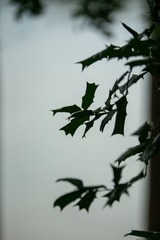 4A3B1372-745E-4BE1-9F58-F5EBF0F3559E/L0/001