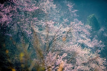 9F051150-8A8F-4542-823B-39A55B610C9C/L0/001