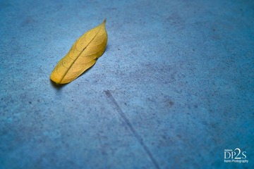 SDIM0046