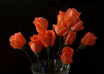 DSC02168_
