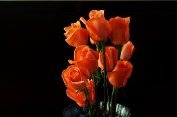 DSC02166_