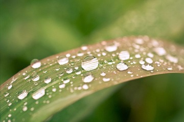 2010 秋末