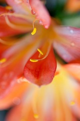 IMG_0046.jpg
