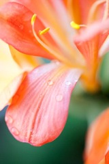 IMG_0053.jpg