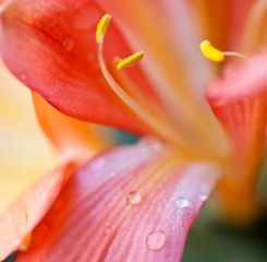 IMG_0054.jpg