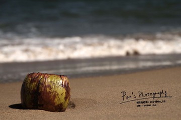 Coconut.jpg
