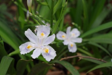 IMGP0026.JPG