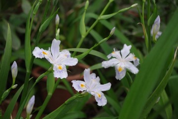 IMGP0029.JPG