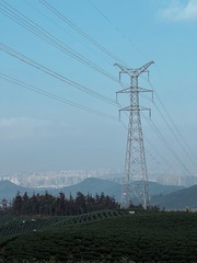 1F08BF12-2CEB-43E5-B273-1F196B27BC27/L0/001