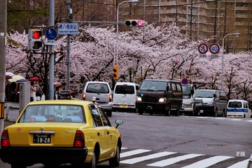 IMG_0140.JPG