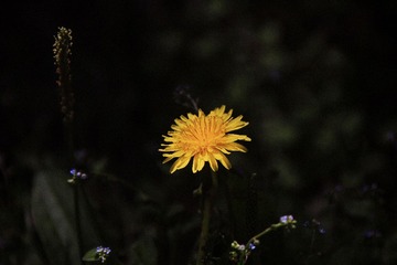 IMG_9297.jpg