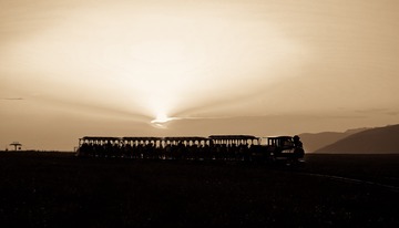 322594