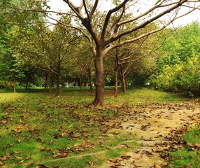 DSC_1127_副本2.jpg