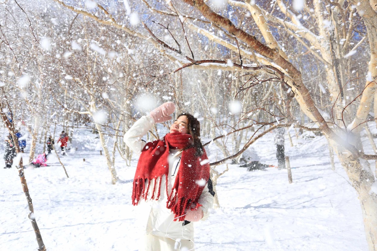 初见雪的南方人