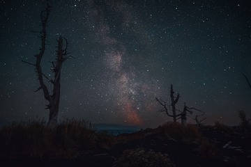 托尔巴奇克死亡森林夏季星空