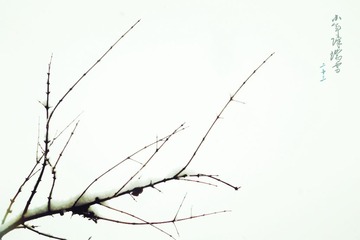 P1060226_副本.jpg