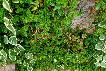 2013-05-29 14-34-36.jpg