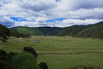 2013-05-31 10-07-37.jpg
