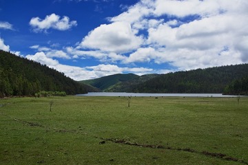 2013-05-31 11-38-47.jpg