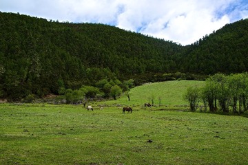 2013-05-31 11-46-40.jpg