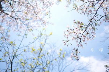 P1070707