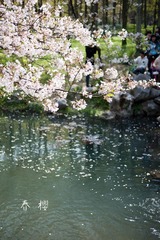 P1070711