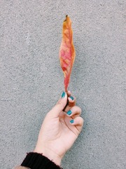 2016-12-05 12.26.56 2
