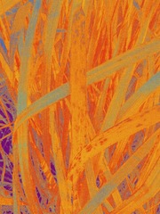 2016-12-05 12.28.32 1