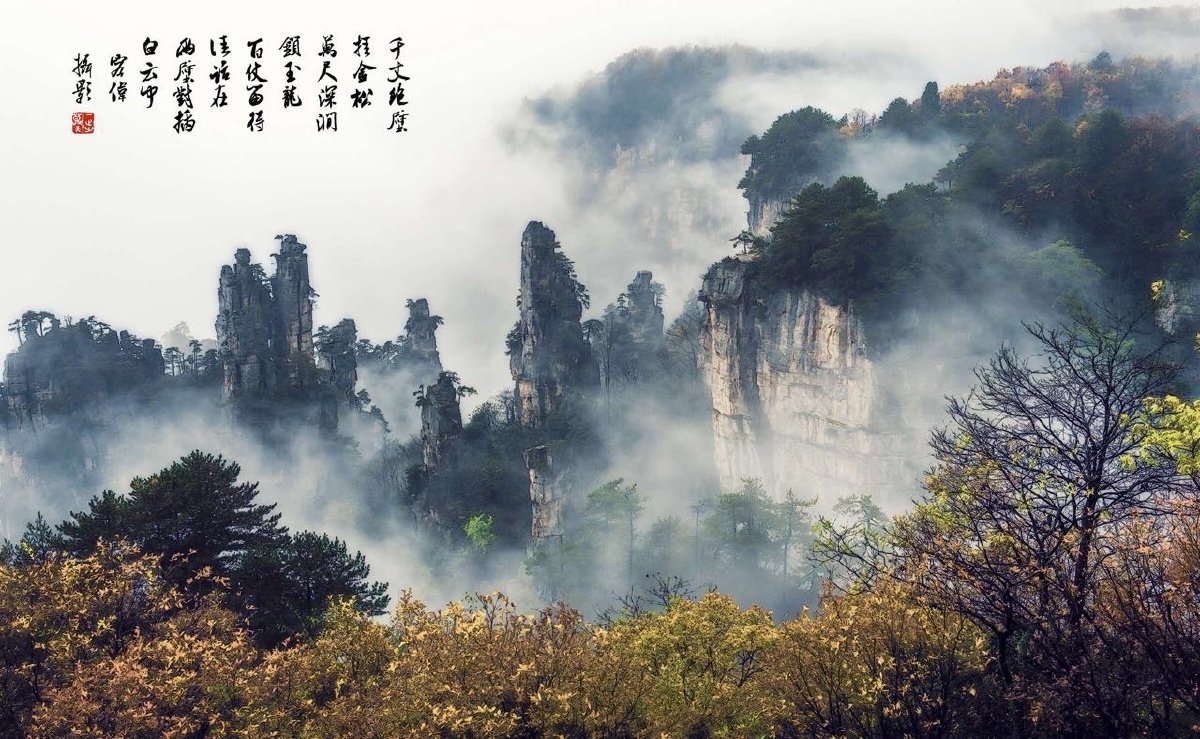 张家界天子山金秋云海