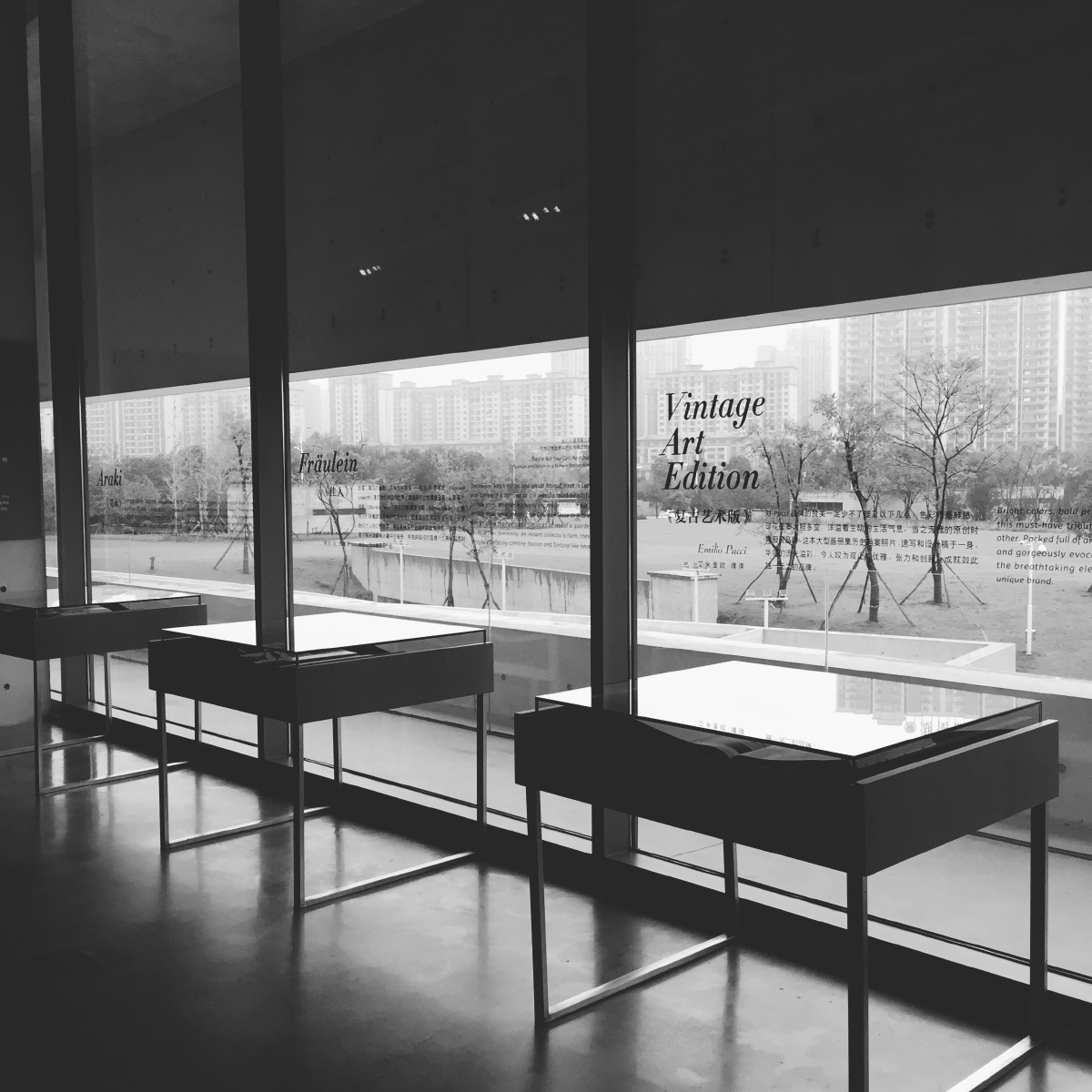 眼前的黑不是黑