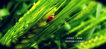 DSC01291.jpg