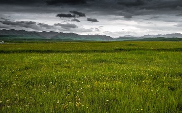 DSC_0446-239