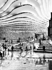 library bw-1