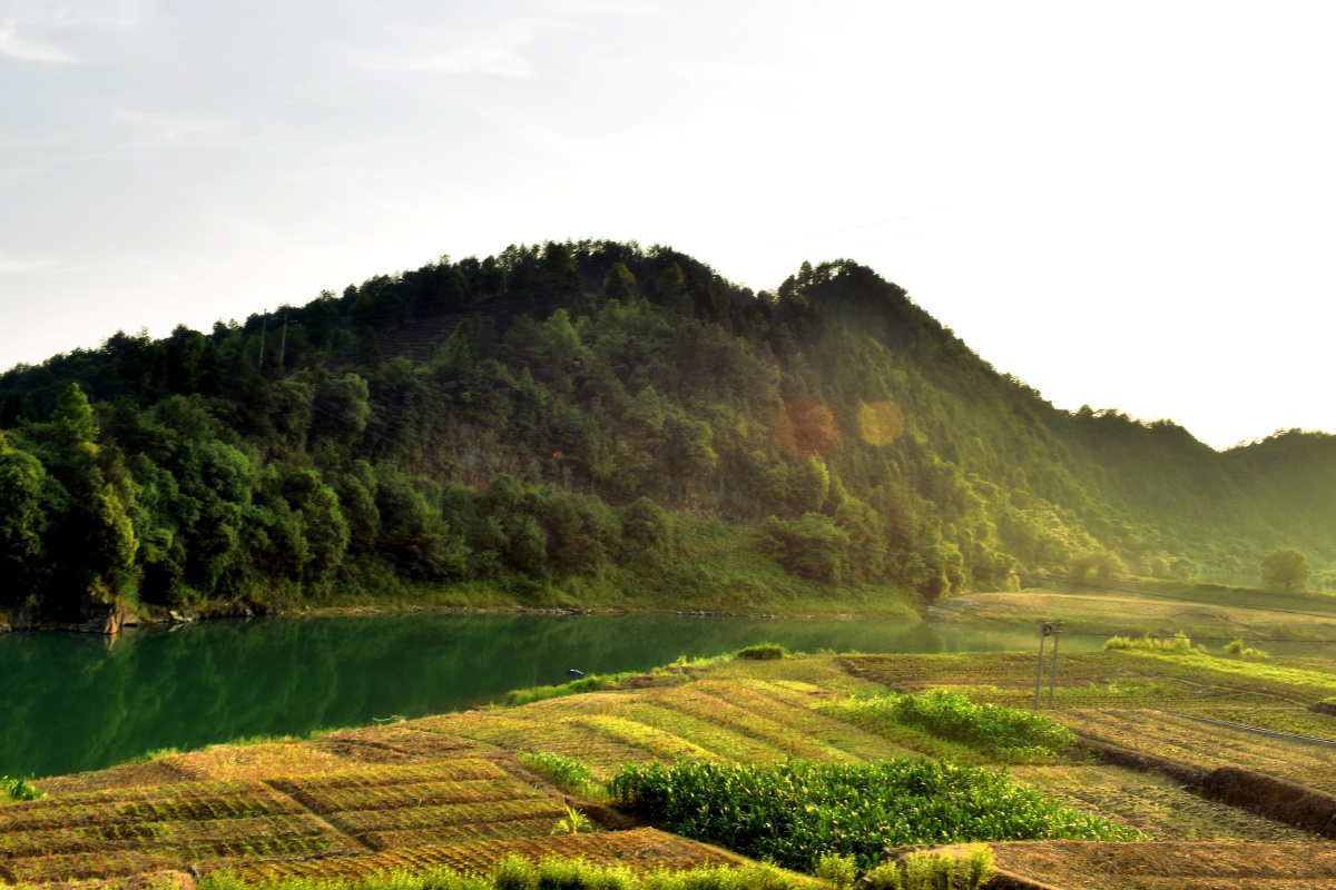 山田风光去安徽歙县阳产的旅途中随拍